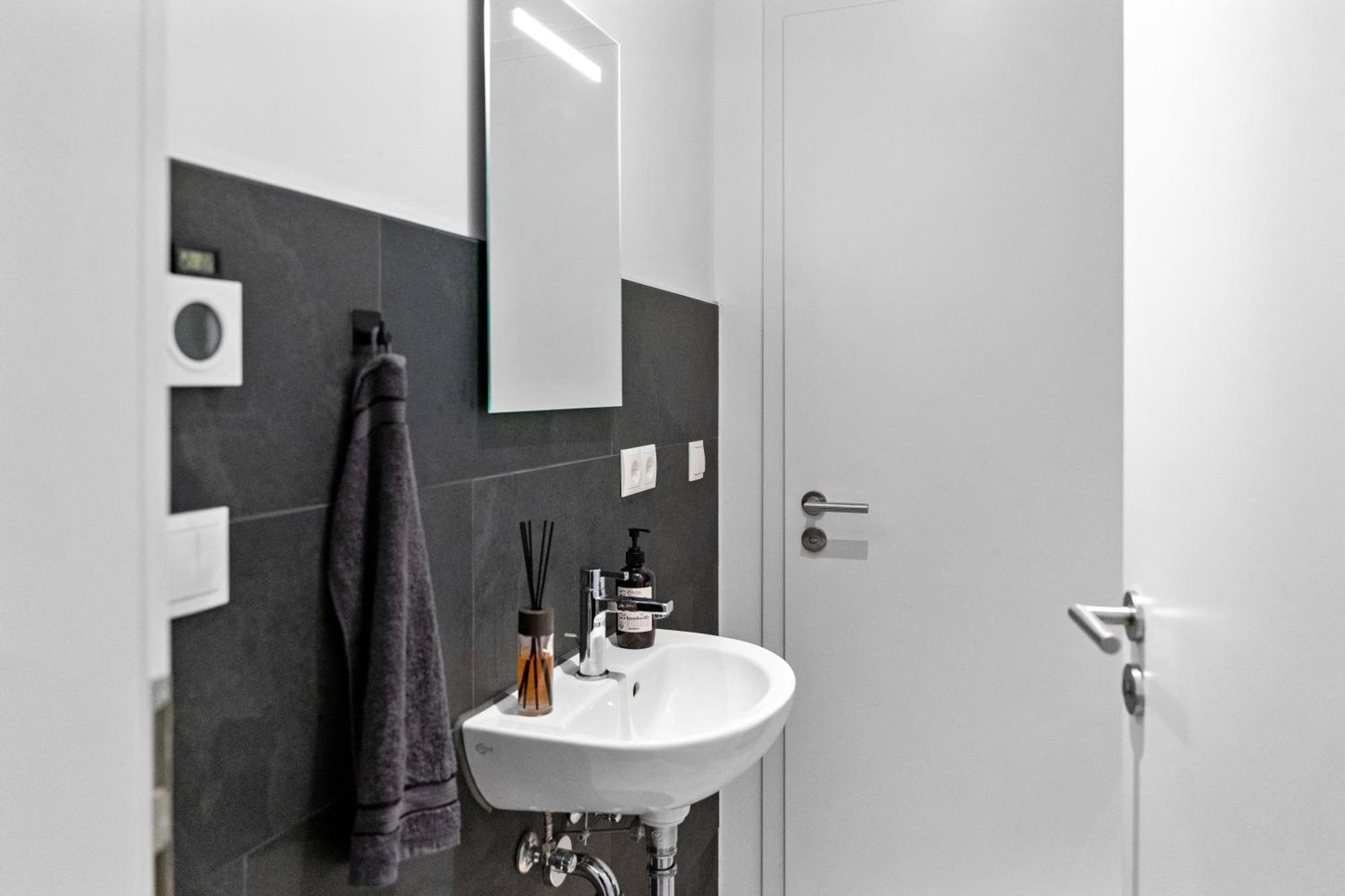 Modern Style Business Suite - Office - Kitchen - Balcony Херцогенаурах Экстерьер фото